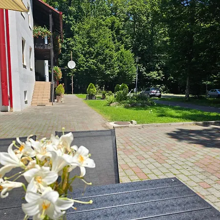 Pensjonat Hanul Vestem