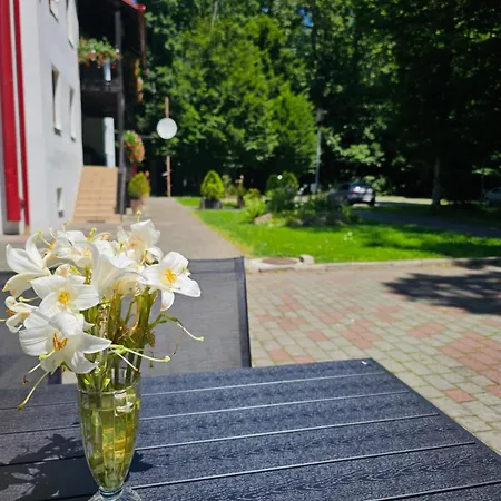 Pensjonat Hanul Vestem Sybin